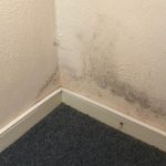 voorbeeld oorzaak vochtige muur