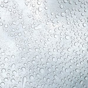 Schimmel vochtige muur