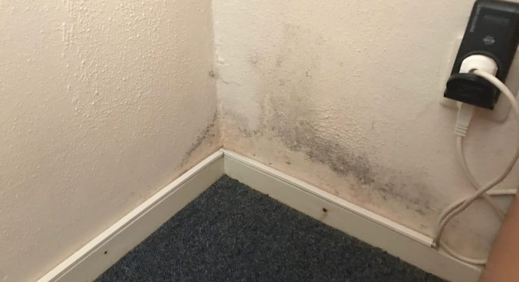 voorbeeld oorzaak vochtige muur
