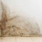 Optrekkend vocht badkamer