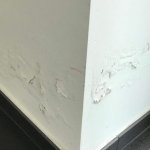 optrekkend vocht