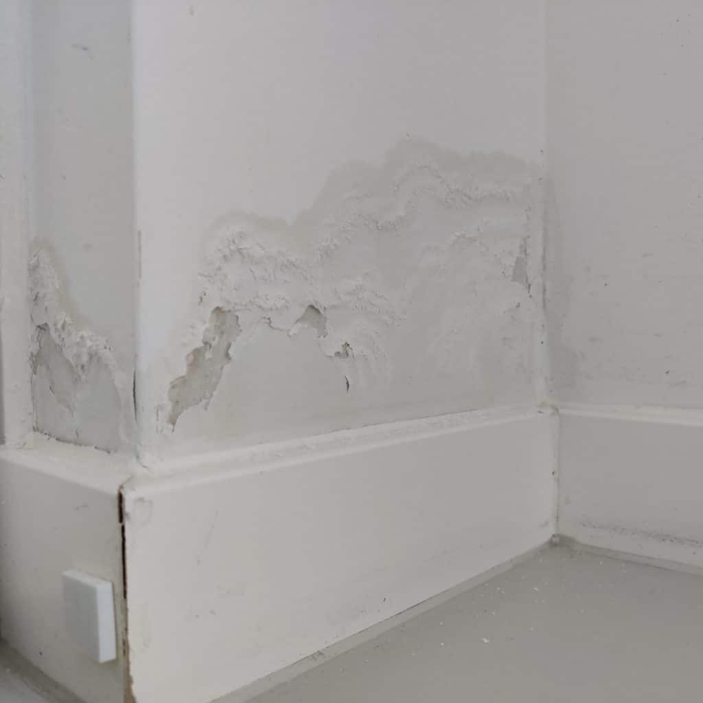 Vochtige Muren Definitief Oplossen