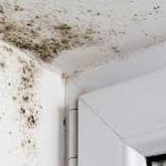 Schimmelvorming in de hoek bij een raamkozijn en plafond, wijst op te hoge luchtvochtigheid/condens.
