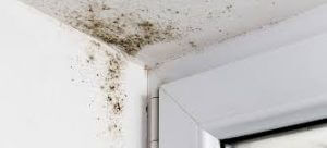 Schimmelvorming in de hoek bij een raamkozijn en plafond, wijst op te hoge luchtvochtigheid/condens.