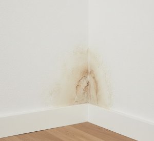 optrekkend vocht herstellen