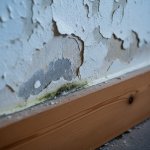 Close-up van afbladderende verf en schimmel langs de plint op een binnenmuur, kenmerkend voor optrekkend vocht.