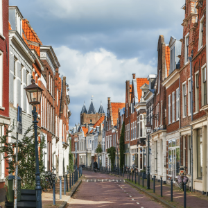 Specialist in vochtbestrijding in Haarlem – Carebrick systeem tegen optrekkend vocht