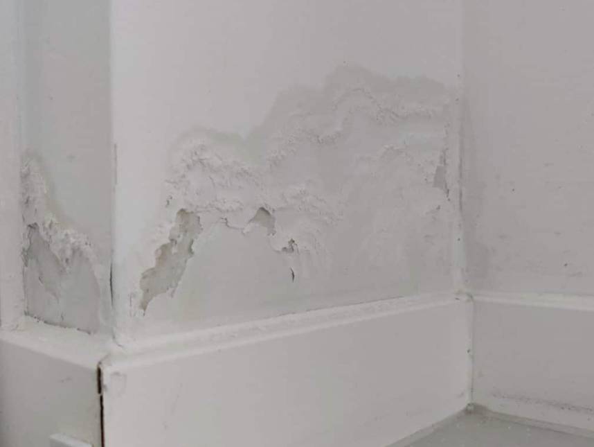 photo-2025-11-10-14-32-04-1