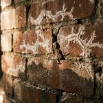 Verweerde bakstenen muur met witte zoutafzettingen, vochtschade en waterlek door voegwerk