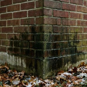 Bakstenen muur met vochtplekken en waterschade, herfstbladeren en rijp op de grond, close-up detail van metselwerk