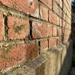 Bakstenen muur met waterdruppels die omhoog bewegen door voegen, verlicht door ochtendzonlicht