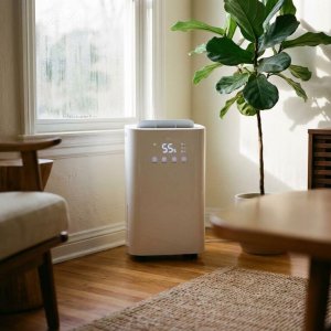 Moderne witte luchtontvochtiger in hedendaagse woonkamer met condensdruppels op ramen en gezonde kamerplant