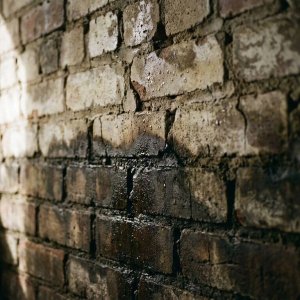 Doorsnede bakstenen muur met vochtstijging, donkere watervlekken onderaan vervagend naar lichtere plekken hoger op