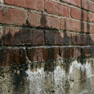 Bakstenen muur met vochtschade en watervlekken die omhoog klimmen vanaf betonnen fundering, condensdruppels zichtbaar