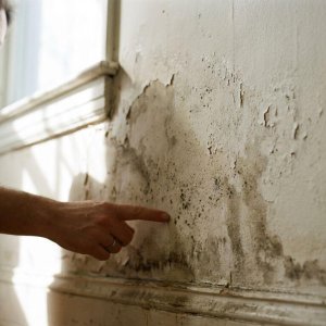 Vochtschade op witte muur met donkere watervlekken, afbladderende verf en schimmel, hand wijst naar beschadigde plek