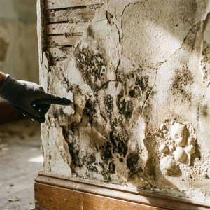 Vochtschade aan binnenmuur met donkere vlekken, schimmel en afbladderende verf, werkershand wijst naar beschadigde plek