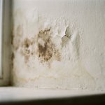 Waterschade op witte muur met gele en bruine vlekken, afbladderende verf en waterdruppels in daglicht