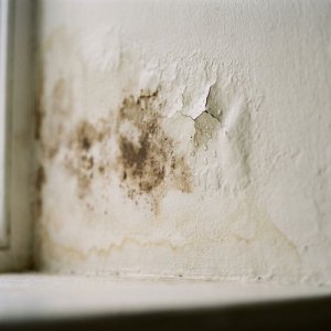 Waterschade op witte muur met gele en bruine vlekken, afbladderende verf en waterdruppels in daglicht