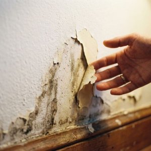 Watereschade aan witte muur met donkere vlekken en afbladderende verf, hand van huiseigenaar raakt beschadigde plek aan