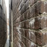Bakstenen muur met vochtschade, donkere watervlekken en witte zoutafzettingen tussen rijtjeshuizen