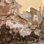 Verweerde bakstenen muur met donkere watervlekken, witte zoutuitslag en afbladderende verf door vochtproblemen