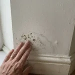 Homeowner raakt vroege schimmelvlekken aan op witte muur bij plint, donkere vlekjes en grijze vochtplekken zichtbaar