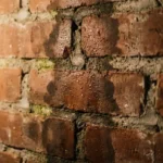 Bakstenen muur met donkere vochtplekken in voegen, waterdruppels en beginnende schimmelvorming