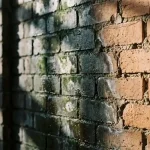 Bakstenen muur met vochtplekken en donkere vlekken, contrast tussen droge en vochtige stenen met natuurlijk licht