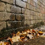 Bakstenen muur met donkere watervlekken en vochtschade, herfstbladeren aan de basis met regenwater