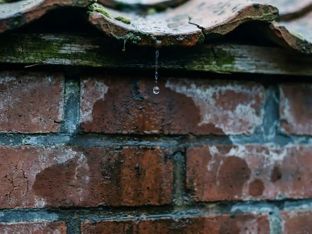 Waterdruppel valt van verweerde dakpan op vochtige bakstenen muur met zichtbare waterschade
