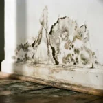 Witte muur met donkere watervlekken, afbladderende verf en schimmelplekken boven een verwrongen houten vloer